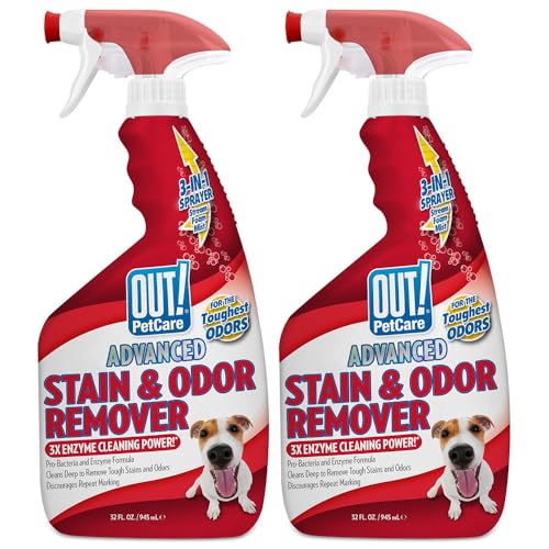 Best Way to Clean Dog Urine Out of Carpet