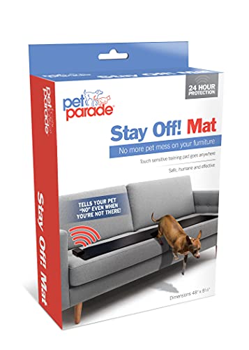 Best Way to Get Mats Out of Dog Fur