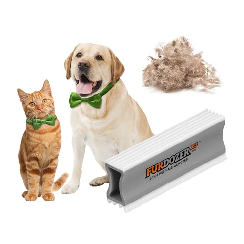 Best Way to Get Rid of Dog Hair in Car
