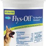 Best Way to Keep Flies off Dogs