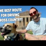 Best Way to Travel Cross Country With Dogs