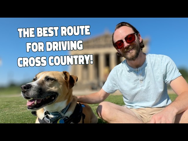 Best Way to Travel Cross Country With Dogs