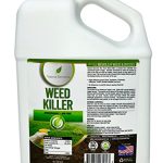 Best Weed Killer Safe for Dogs