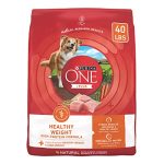Best Weight Gaining Dog Food