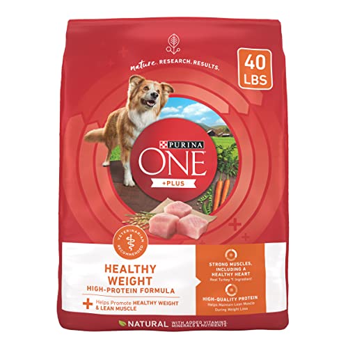 Best Weight Gaining Dog Food