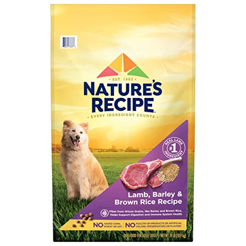 Best Wheat Free Dog Food