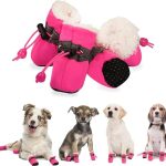 Best Winter Boots for Small Dogs