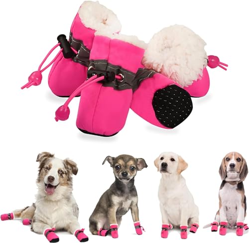 Best Winter Boots for Small Dogs