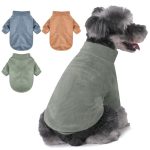Best Winter Clothes for Dogs