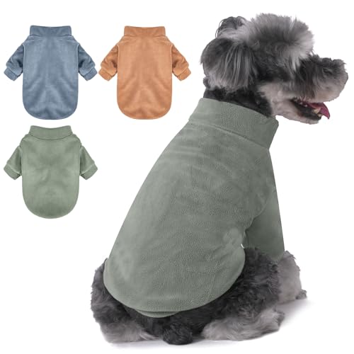 Best Winter Clothes for Dogs