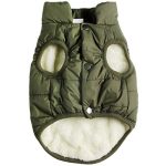 Best Winter Coats for Dogs