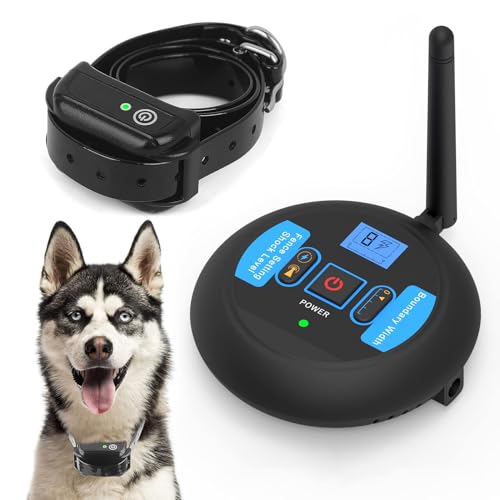 Best Wireless Dog Fence 2024