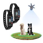 Best Wireless Dog Fence for 2 Dogs
