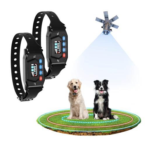 Best Wireless Dog Fence for 2 Dogs