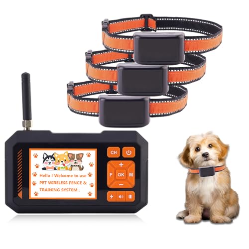 Best Wireless Dog Fence for 3 Dogs