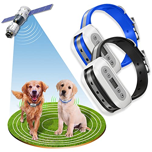 Best Wireless Dog Fence for Multiple Dogs