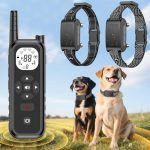 Best Wireless Fence for Large Dogs