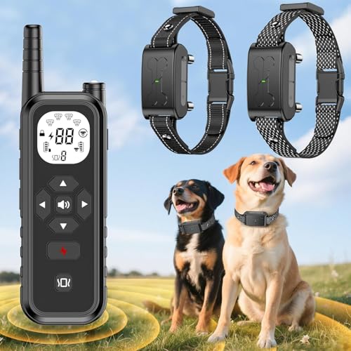 Best Wireless Fence for Large Dogs