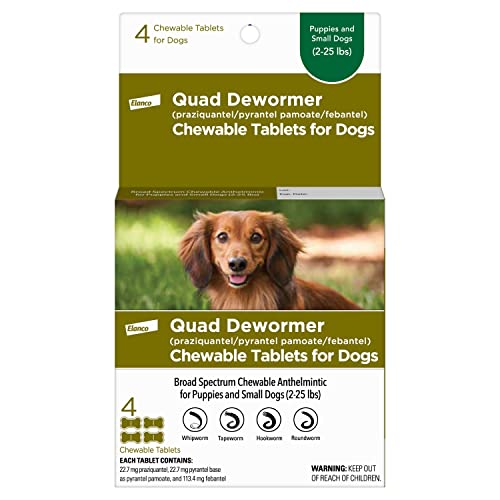 Best Wormer for Small Dogs