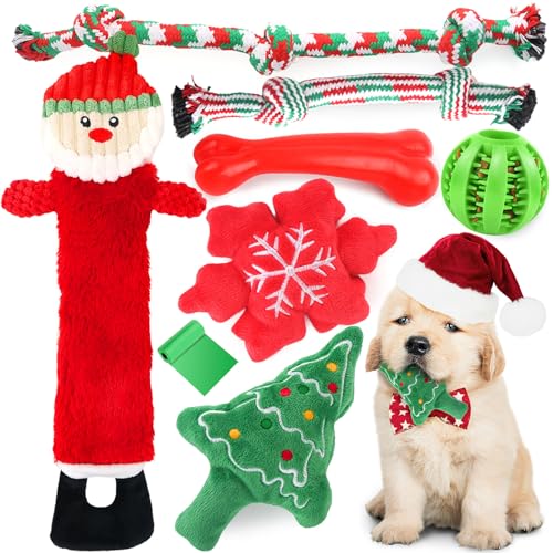 Best Xmas Gifts for Dogs