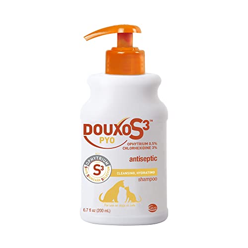 Best Yeast Shampoo for Dogs