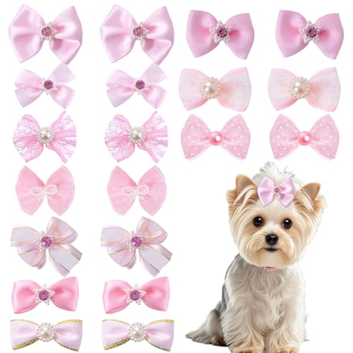 Boutique Dog Accessories Online