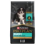 Can My Nursing Dog Have Normal Adult Dog Food