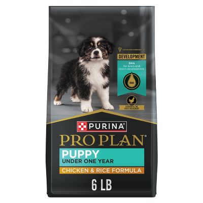 Can My Nursing Dog Have Normal Adult Dog Food