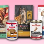Can Older Dogs Still Eat Adult Dog Food
