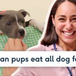 Can Puppies And Adult Dog Eat Same Food