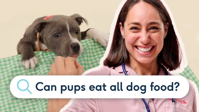 Can Puppies And Adult Dog Eat Same Food