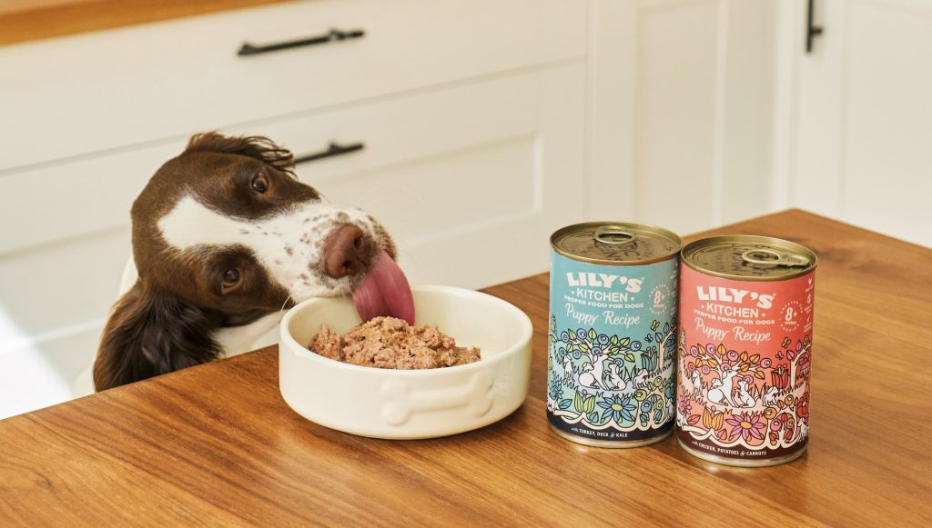 Can Puppies Eat Adult Dog Food at 8 Months