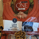 Can You Feed Pyrs Regular Adult Dog Food