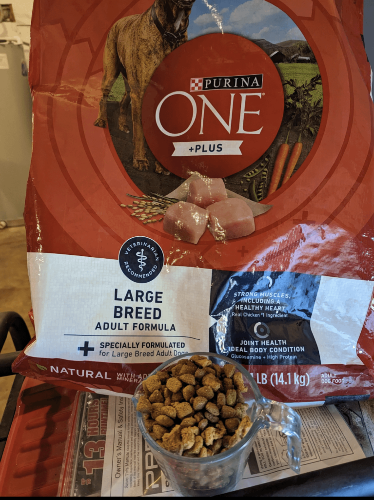 Can You Feed Pyrs Regular Adult Dog Food