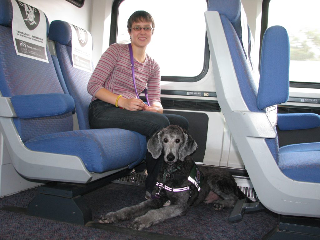 Can You Travel With a Dog on Amtrak