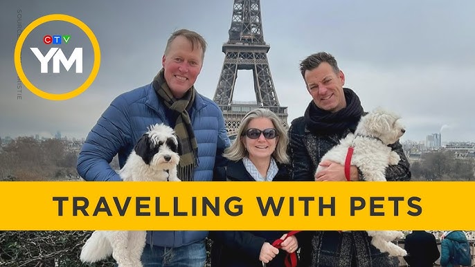 Canada Travel With Dog
