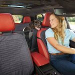 Car Travel With Dog Accessories