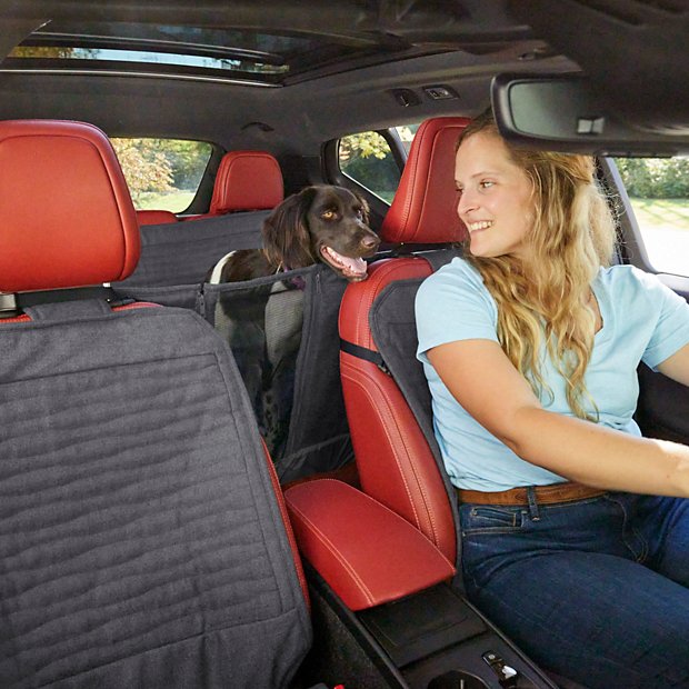 Car Travel With Dog Accessories