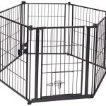Carlson Pet Products Weatherproof Outdoor Super Wide Dog Gate Black