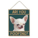Chihuahuas are the Best Dogs