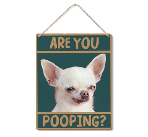 Chihuahuas are the Best Dogs