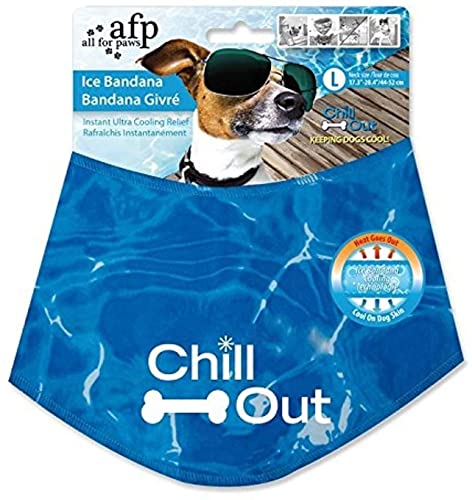Cool Dog Walking Accessories