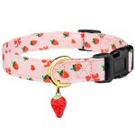 Cute Little Dog Accessories