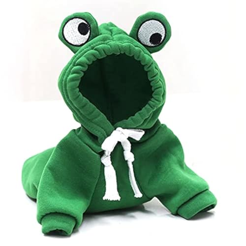 Cute Male Dog Accessories