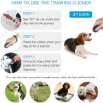 Do Clickers Work for Dog Training