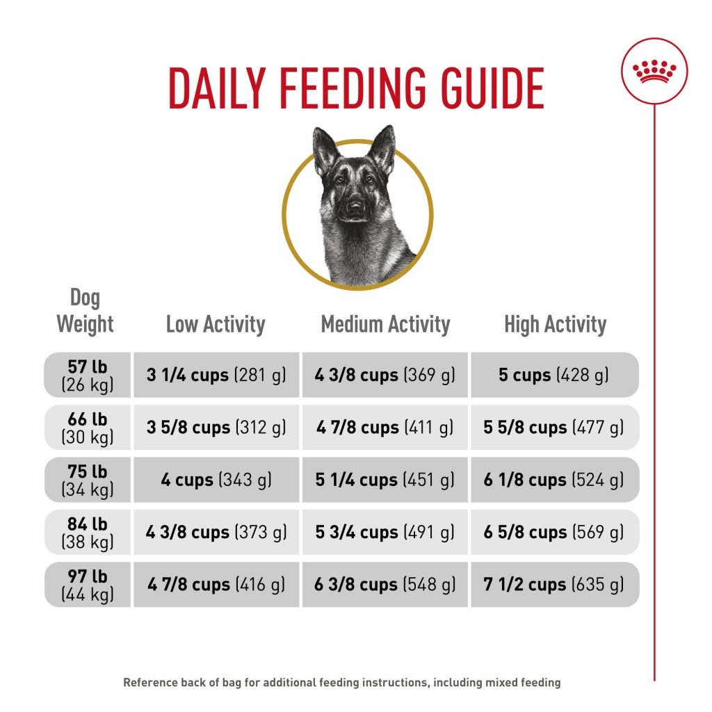 Do I Feed My German Shepherd Puppies Adult Dog Food