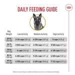 Do I Feed My German Shepherd Puppies Adult Dog Food