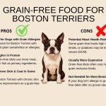 Does a Grain Free Diet for Dogs Cause Heart Disease