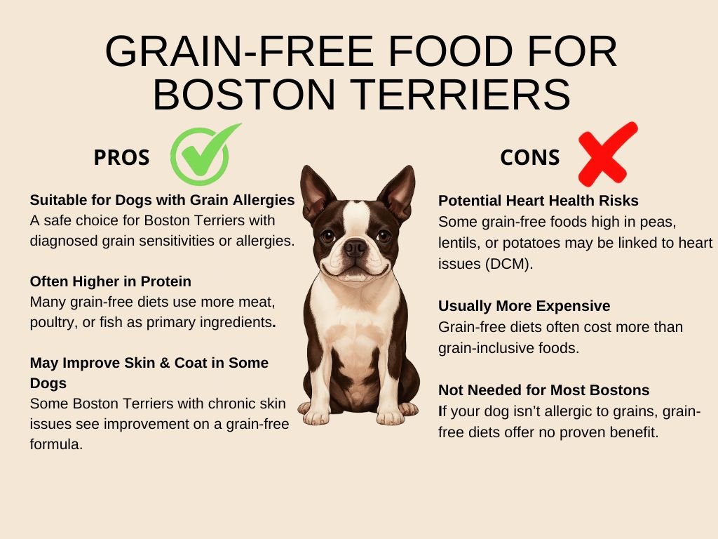 Does a Grain Free Diet for Dogs Cause Heart Disease
