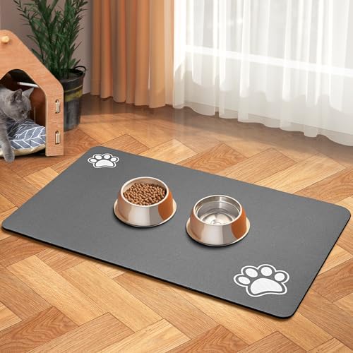 Dog Accessories for Big Dogs